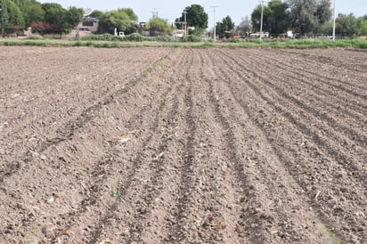 Tecnificación. El campo sigue teniendo la problemática de falta de sistemas de riego más eficientes. (EL SIGLO DE TORREÓN)