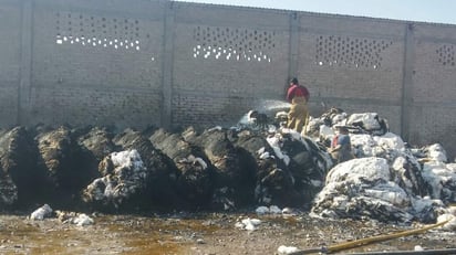 El fuego consumió alrededor de 350 pacas de algodón, valoradas en alrededor de seis mil pesos cada una. (EL SIGLO DE TORREÓN)
