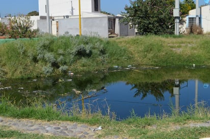 Insalubridad. Las aguas negras siguen llenando diariamente las áreas verdes y recreativas del circuito Segura Fong. (ROBERTO ITURRIAGA)