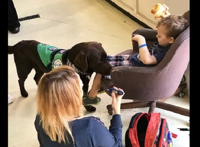 Estos perros son entrenados para detectar los niveles de azúcar de una persona específica. (INTERNET)