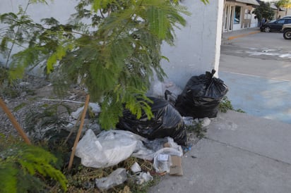 Llamado. Piden dar aseo en el sector Centro. (ROBERTO ITURRIAGA)