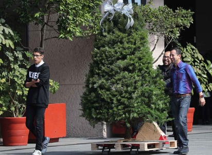 Desde este martes comenzaron a llegar los tradicionales regalos navideños que les hacen a los diputados federales en cada una de sus oficinas en el Palacio Legislativo de San Lázaro. (EL UNIVERSAL)