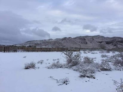 Durante la mañana se registró una temperatura de -12.0 grados centígrados en La Rosilla, Guanaceví, aunque transcurridas pocas horas descendió a -15.0 grados. (TWITTER)