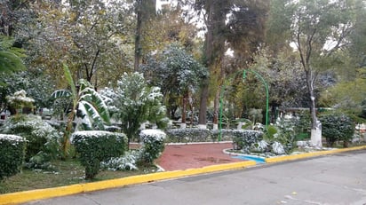 Este fenómeno fue el resultado de la primera tormenta invernal, la cual se formó apenas el miércoles por lo que no se tenía previsto el efecto que podría ocasionar al interactuar con el frente frío número 14. (EL SIGLO DE TORREÓN)