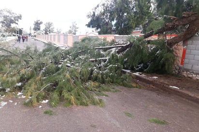 Vigilancia. Tlahualilo uno de los municipios afectados este invierno por fenómenos naturales. (EL SIGLO DE TORREÓN)