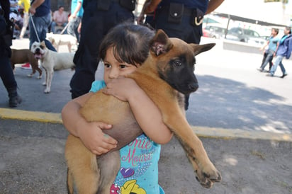 En Día de Reyes es común que los pequeños pidan una mascota de regalo, sin embargo, antes de cumplir el gusto de los menores del hogar es importante considerar que los animales no son juguetes. (ARCHIVO)