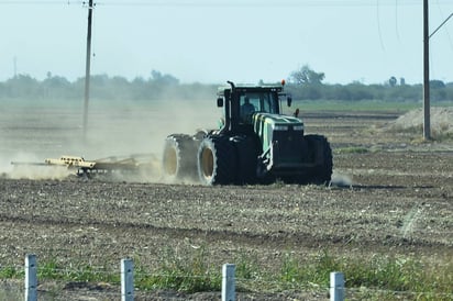 Dificultades. Presidente de la CNC de Lerdo, Juan Frayre prevé un año muy complicado para los productores del campo.