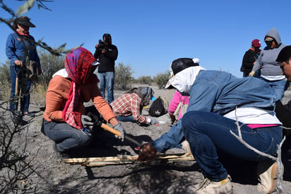 Trabajo. Ayer, grupo Vida reinició los trabajos de búsqueda de sus desaparecidos en Matamoros. (ARCHIVO)