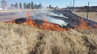 Zacatales. Con la llegada de los aires y la falta de aguanieve, el pasto está muy seco y provoca que sea un combustible fuerte.