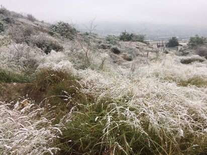  Temperaturas de hasta siete grados bajo cero y potencial caída de aguanieve, se estiman para hoy en los estados de Nuevo León, Coahuila y Tamaulipas, debido al frente frío número 23. (ARCHIVO)