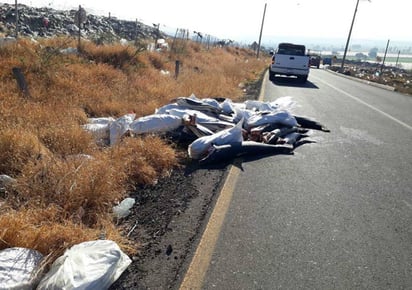 En carretera. El hallazgo fue realizado en la carretera Piedad-Yurécuaro, a la altura de la comunidad de Monteleón. (ESPECIAL)