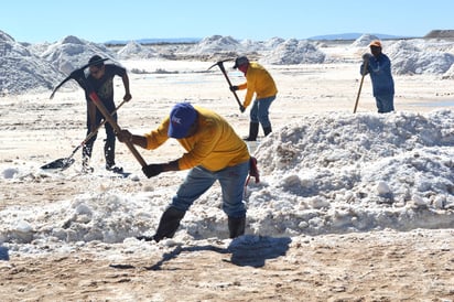 Labor. Salineros se dedican a cosechar sal en este pueblo de Ocampo, Coahuila. (CORTESÍA)