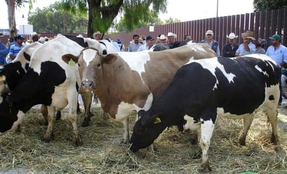 Incremento. Productores buscan que la leche que se les compra aumente a ocho pesos.