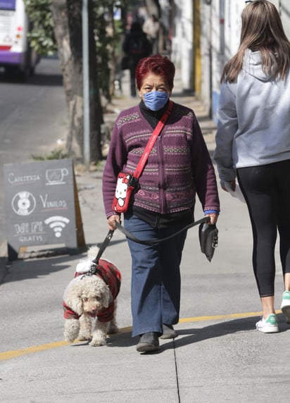 La Secretaría de Protección Civil de la Ciudad de México informó que este viernes se espera clima templado durante el día, con cielo nublado y una temperatura máxima de 19 grados Celsius alrededor de las 15:00 horas. (ARCHIVO)