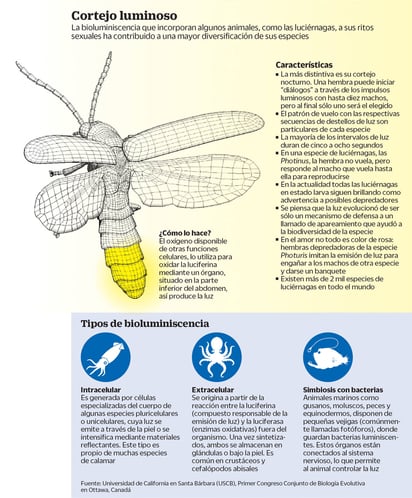 (EL UNIVERSAL)