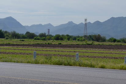 Trabajos. Reciben apoyo los productores del Módulo de Riego 03 con maquinaria para iniciar la preparación de las tierras. (EL SIGLO DE TORREÓN) 