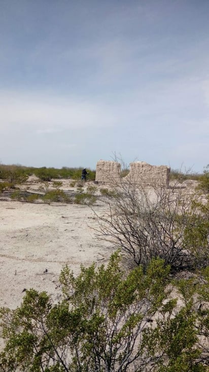 El sitio ya había sido recorrido por la PGR sin éxito. (EL SIGLO DE TORREÓN) 