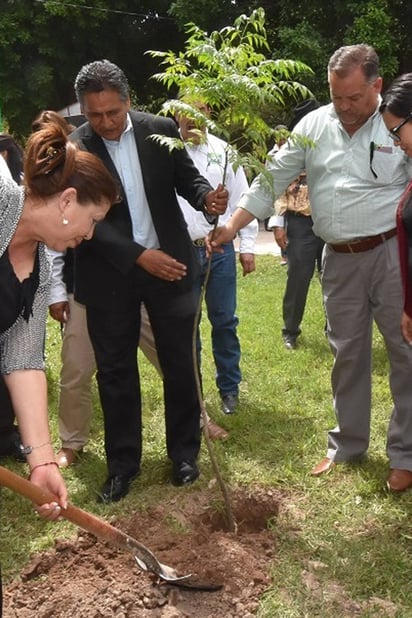 Árboles. Deberán hacer solicitud personas interesadas. (EL SIGLO DE TORREÓN)