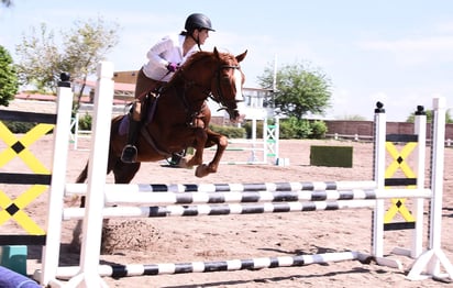 Un total de seis pruebas con diferentes alturas de obstáculos se llevarán a cabo durante cada jornada, todo regido bajo los reglamentos general y de salto de la Federación Ecuestre Internacional, así como el reglamento de la Federación Ecuestre Mexicana. (ARCHIVO)