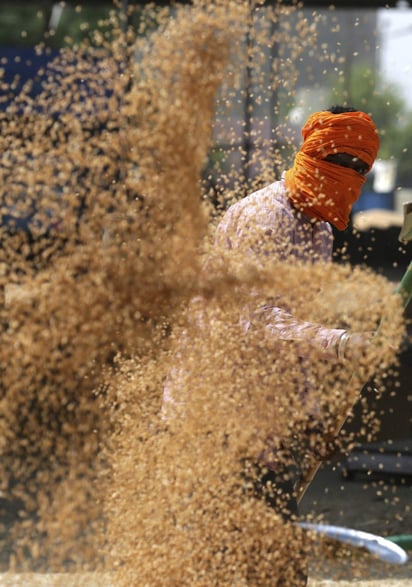 El índice de precios de los alimentos de la FAO, publicado este jueves, alcanzó una media de 170.8 puntos en febrero, 1.1 por ciento más que el mes anterior y tan solo 2.7 por ciento menos que hace un año. (ARCHIVO)