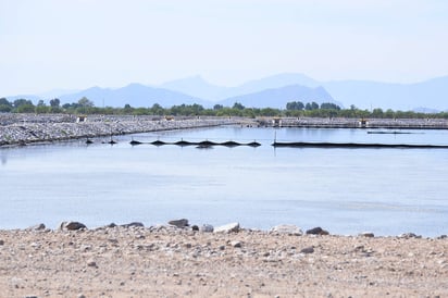 Pendientes. Autoridades municipales informarán la próxima semana el estado jurídico que guarda el litigio Simas-Ecoagua del que depende un eventual pago de 180 mdp por la PTAR. (FERNANDO COMPEÁN)