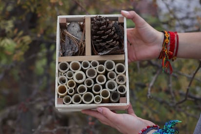 Desarrollaron estos hoteles con la intención de proteger a las abejas silvestres y 'retribuirles' un poco del daño que los humanos han hecho a sus lugares de anidación mediante la tala de árboles y la expansión de las ciudades hacia el campo. (EFE)