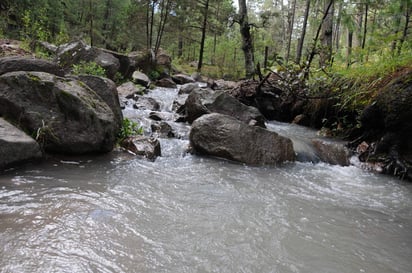 Así lo señaló el diputado Maximiliano Silerio Díaz, presidente de la Comisión de Asuntos Forestales, Frutícolas y Pesca, quien indicó que gran parte de la producción agrícola de Sinaloa, depende de las lluvias de esta entidad. (ARCHIVO)