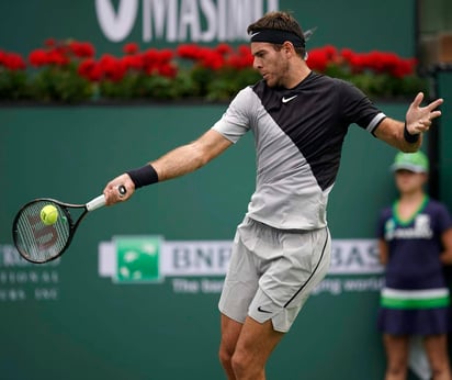 Juan Martín del Potro venció 6-4 y 7-6 a David Ferrer en la tercera ronda. (EFE)