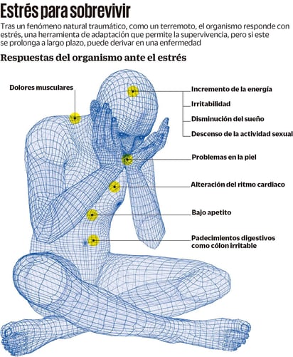 Otra grieta: los sismos y la salud mental