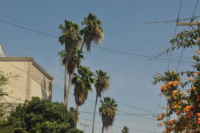 Calor. Para hoy se espera una temperatura máxima de 39 grados y para mañana la entrada de un frente frío. (GUADALUPE MIRANDA)