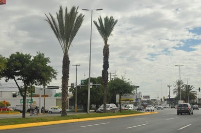 Para el martes se prevé un incremento en la velocidad del viento de hasta 35 kilómetros por hora. (ARCHIVO) 