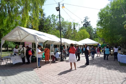 Festival. Ofrecen diversidad de terapias alternativas para la salud emocional y física.