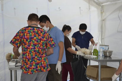 Esterilización. La comunidad gomezpalatina ha respondido a la campaña de Control Animal, la cual evita diversos riesgos. (EL SIGLO DE TORREÓN)