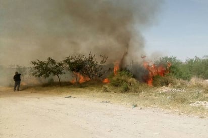 Siniestros. Hubo 20 incendios el fin de semana en Lerdo, creen que son provocados, pero no detienen a los responsables. (EL SIGLO DE TORREÓN)