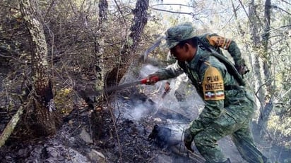 Posteriormente se sumaron elementos de Protección Civil de Nuevo León y personal de la Comisión Nacional Forestal (Conafor), comisionado en el sur de la entidad. (TWITTER)