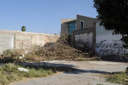 Se hizo el planteamiento de convertir los terrenos baldíos en este tipo de parques. (ARCHIVO) 