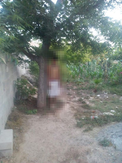 El joven se colgó de la rama de un árbol que se encuentra en el patio de la casa. (EL SIGLO DE TORREÓN) 