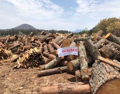 De acuerdo un comunicado de la Profepa, la medida fue impuesta por no exhibir los avisos o autorizaciones de funcionamiento ni la documentación ni libro de registro de entradas y salidas de las materias primas forestales. (TWITTER)
