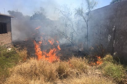 Investigan. La alcaldesa María Luisa González Achem dijo que incendios son por temas políticos. (EL SIGLO DE TORREÓN)