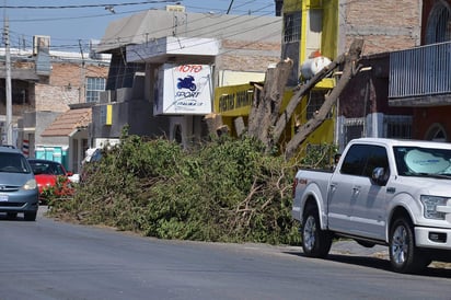 (EL SIGLO DE TORREÓN)