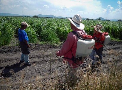 De acuerdo con el análisis, una de las características que distingue a estos flujos migratorios es que se encuentran en edades productivas, lo que implica que las acciones de gobierno deben considerar apoyos para su reinserción laboral. (ARCHIVO)