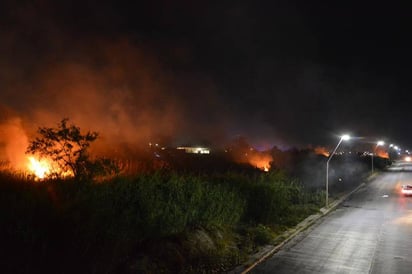 Descuido. El incendio que se registró el mes pasado dejó al descubierto el rezago que existe en cuidado del medio ambiente.