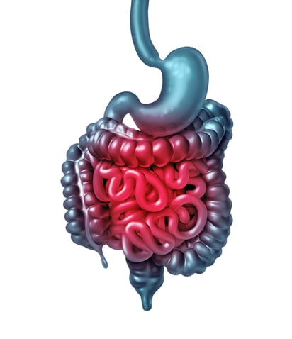 Especialistas señalan que el dolor abdominal, diarrea o estreñimiento  son síntomas que si se presentan con regularidad es indicio de el Síndrome de Intestino Irritable. (ARCHIVO)