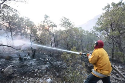 Acciones. El control del fuego se logró gracias al equipo integrado por 172 brigadistas.