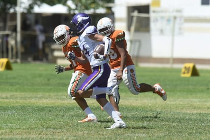 Gigantes y Panteras, jugarán el clásico de la Unidad Deportiva Torreón, en Peewee, Midget y Junior Bantam a partir de las 10 de la mañana, con lo cual quedarán listas las semifinales que se jugarán a partir de la próxima semana. (ARCHIVO)