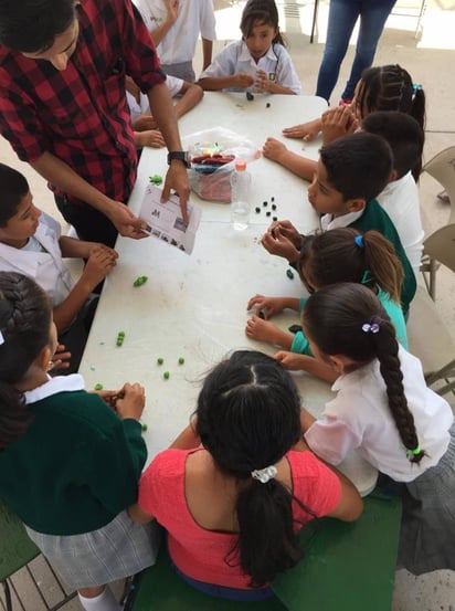 Al día. Según explicó el director de cultura de Torreón, Elías Agüero, los pagos a los maestros de todos los espacios culturales del municipio, ya se encuentran al día.