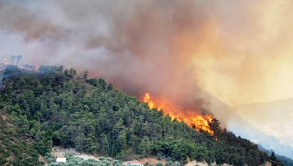 Felipe Basulto Corona, secretario del Ayuntamiento de Acuña, dio a conocer que durante la mañana de este jueves les fue notificado por parte de la guardia estatal sobre el incendio registrado en el rancho El Cedrito. (ARCHIVO)