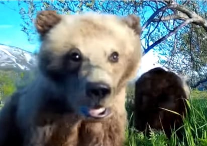 El tierno video se hizo viral en pocas horas. (INTERNET) 