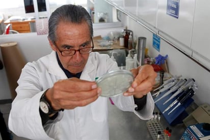 Creó y patentó esta sustancia bautizada como 'ranimicina', que utiliza las propiedades antimicrobianas que la rana desarrolla de manera natural para protegerse del medio ambiente. (EFE)