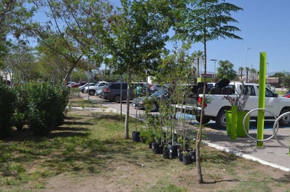 Reforestación. Ayer y de manera simbólica se plantaron un total de 10 árboles de diversas especies. (EL SIGLO DE TORREÓN)